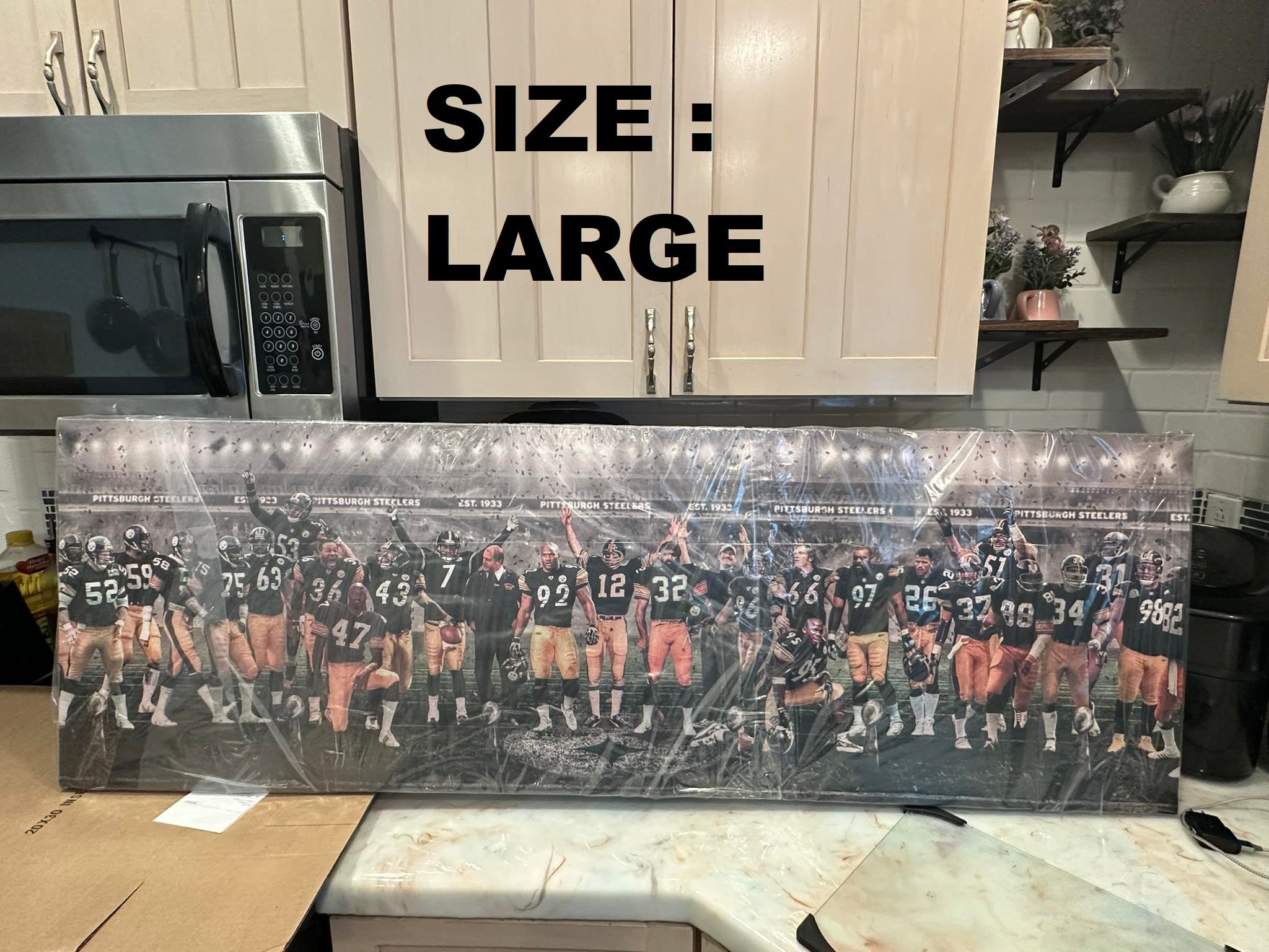 Steelers | "Legends & Icons" Edition | Canvas Framed Wall Art