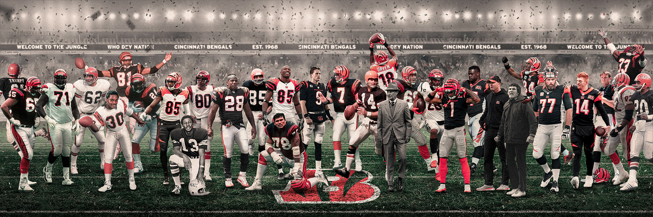 Bengals | "Legends & Icons" Edition | Canvas Framed Wall Art