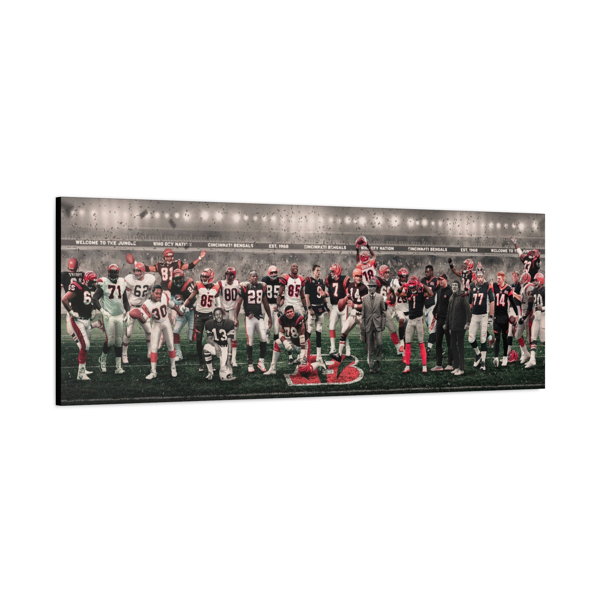 Bengals | "Legends & Icons" Edition | Canvas Framed Wall Art
